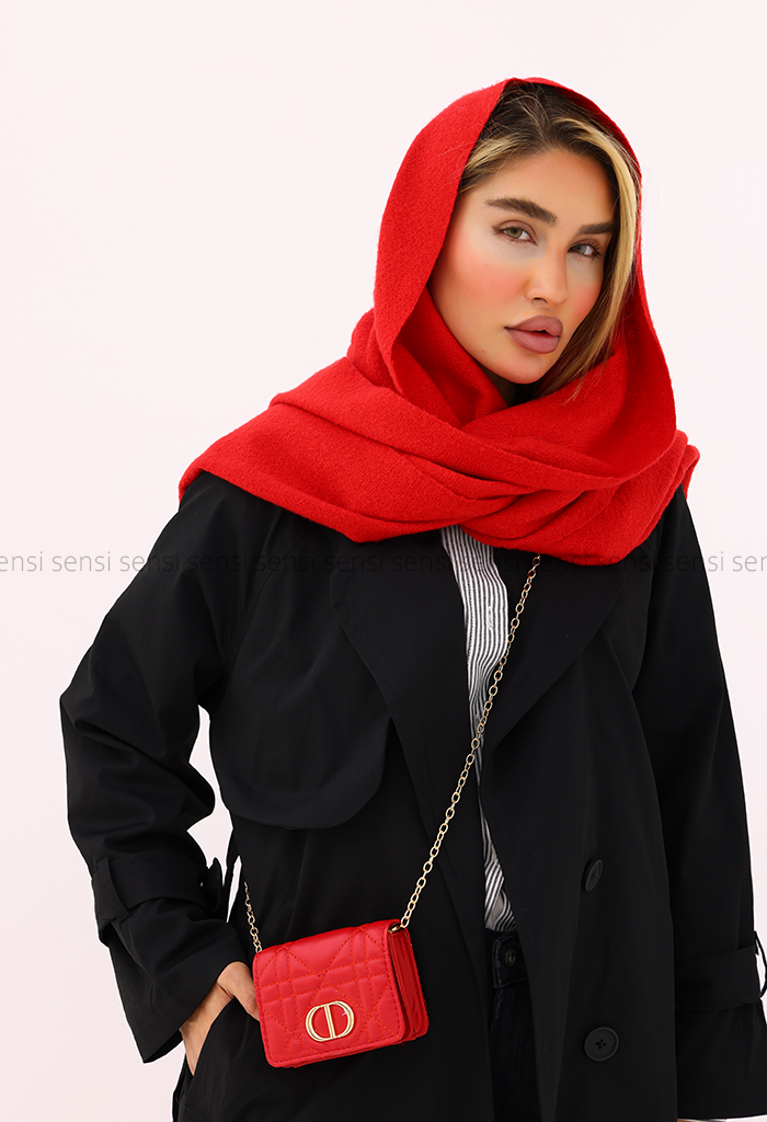 کیف مینی زنانه DIORکد1006459